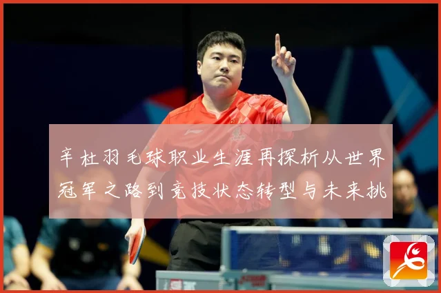 辛杜羽毛球职业生涯再探析从世界冠军之路到竞技状态转型与未来挑战