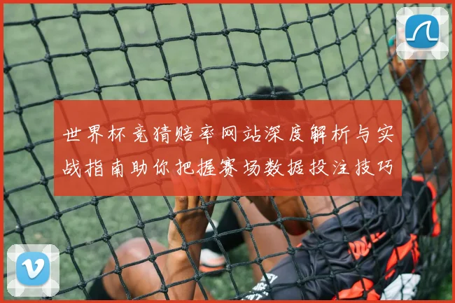 世界杯竞猜赔率网站深度解析与实战指南助你把握赛场数据投注技巧