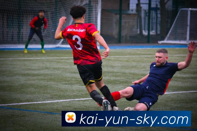 开云平台展示图